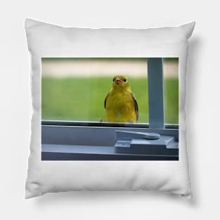 Little Bird on the Window Sill Pillow