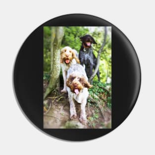 Windy in the woods Spinone Pin