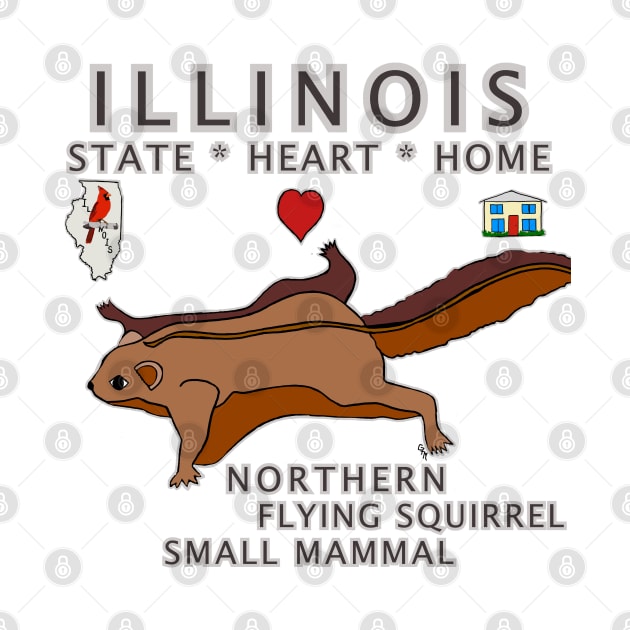 Illinois - Northern Flying Squirrel - State, Heart, Home - small mammal by cfmacomber