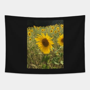 Sunflower Field Tapestry