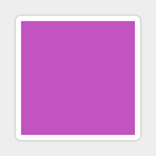 PLAIN SOLID Fuchsia Crayola Magnet