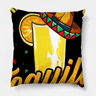 Cinco de Mayo I Didnt Text You Tequila Did Pillow