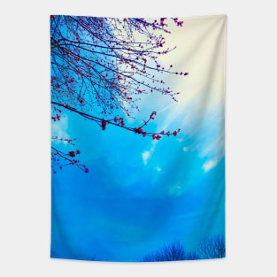 Red Maple Blooms against a Digitally Enhanced Blue Sky Tapestry