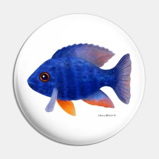 African Cichlid Fish Pin