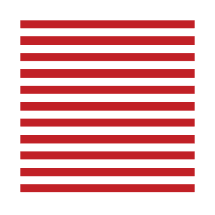 Red White Stripes T-Shirt