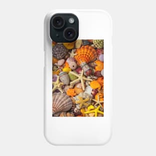 Tropical Shell Collection Phone Case