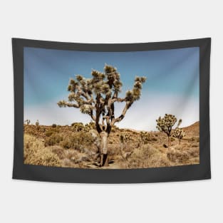 Joshua Tree National Park, California Tapestry