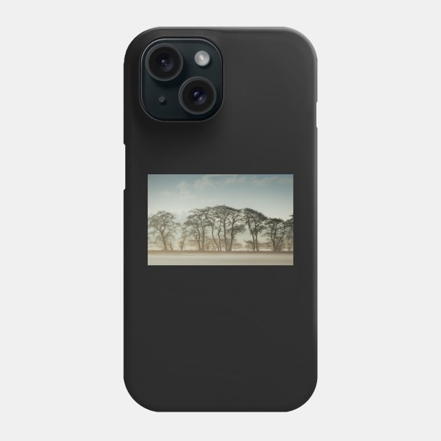 Winter Treeline Phone Case by jldunbar