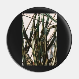 Greenhouse Cactus Pin