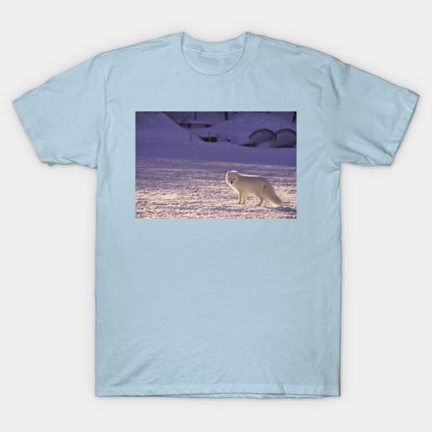 Discover Snow Fox - Snow Fox - T-Shirt