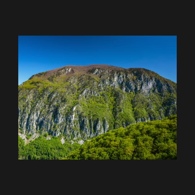 Limestone mountains by naturalis