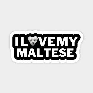 I love my maltese Magnet