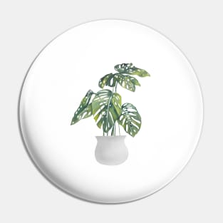 Potted Monstera Plant Pin