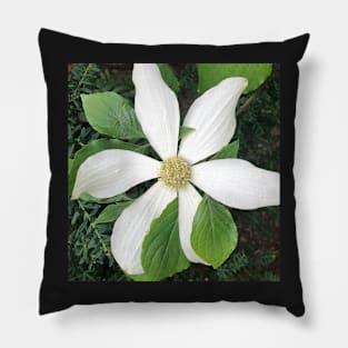 White Clematis Pillow