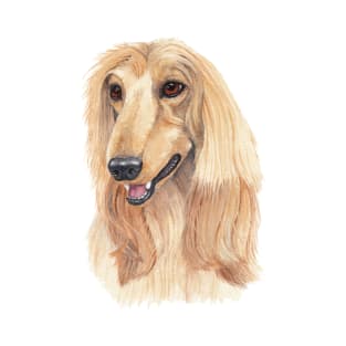 Afghan Hound - A T-Shirt