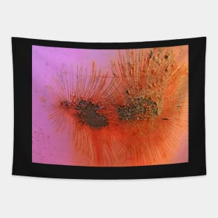 Rusty Eyelashes Tapestry