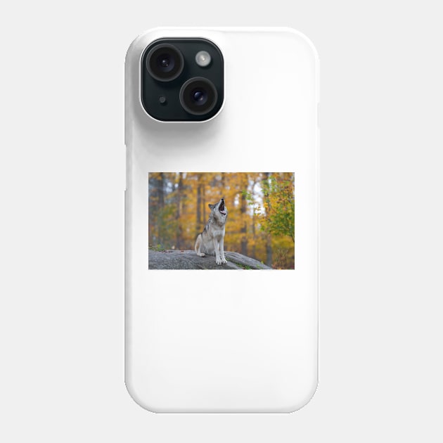 Timber Wolf Phone Case by Jim Cumming