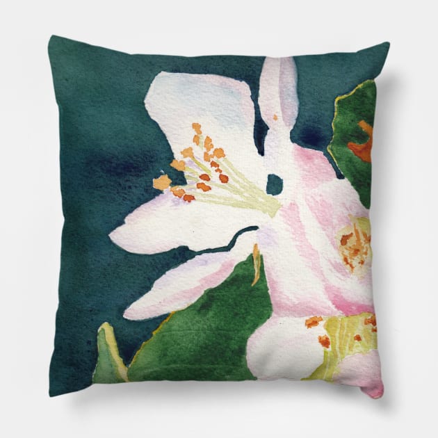 Apple Blossom Macro Study 2 Pillow by ConniSchaf