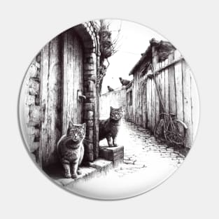 Cats in an italian village Pin