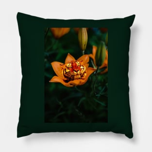 Tiger Lily Pillow