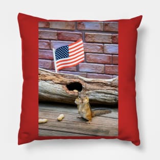 America, land of free nuts Pillow