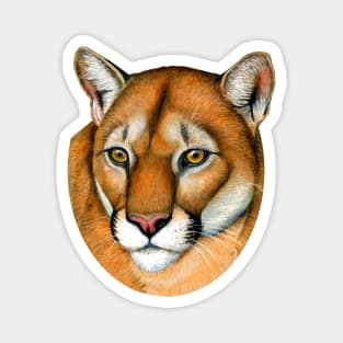 Cougar Portrait Magnet