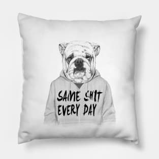 Same shit... Pillow