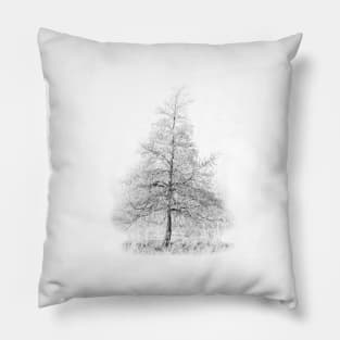 Fir Tree Pillow