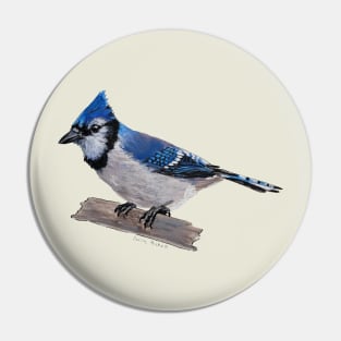 Perched Blue Jay Pin