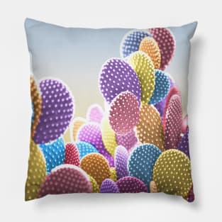 Pastel Cactus: Surreal photo in bright confetti colors Pillow