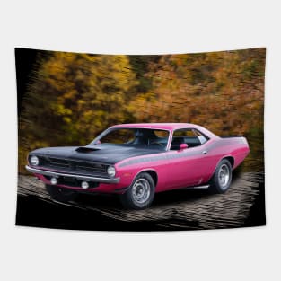 1970  AAR Cuda in our fall day series Tapestry