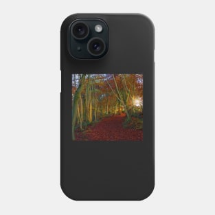 Sunrise, Westridge Woods on the Cotswold Way Phone Case