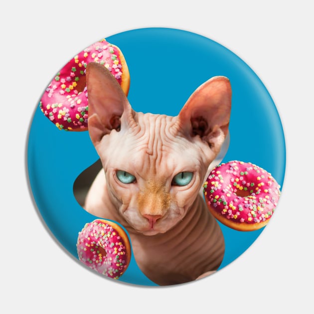 Sphynx cat with pink donuts Pin by Arteria6e9Vena