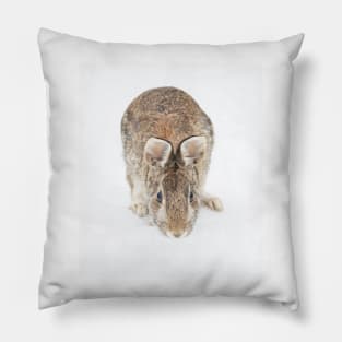 Eastern Cottontail Pillow