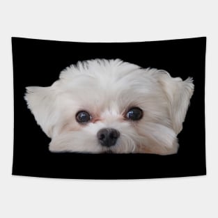 Adorable Maltese T-Shirt Tapestry