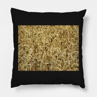 Wheatfield Pillow