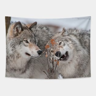 Timber Wolves Tapestry