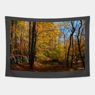 Fall In Connecticut Tapestry