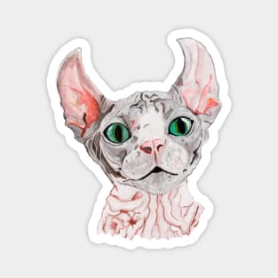 Sphynx cat portrait Magnet