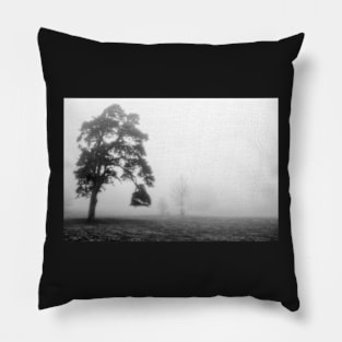 Scots Pine in fog Pillow