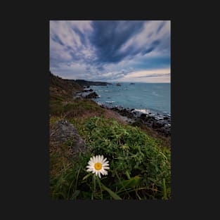 Wild Daisy Blooming on the Cliffs of Northern California T-Shirt