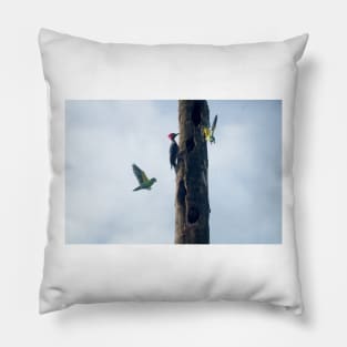 Hll three birds Pillow