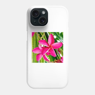 Tropical Pink Plumeria Flower Blooms Phone Case