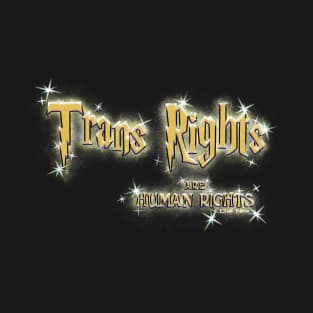 Trans Rights (Classic Colorway) T-Shirt