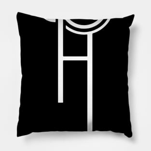 hippo campus Pillow