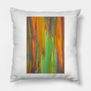Rainbow Eucalyptus Pillow
