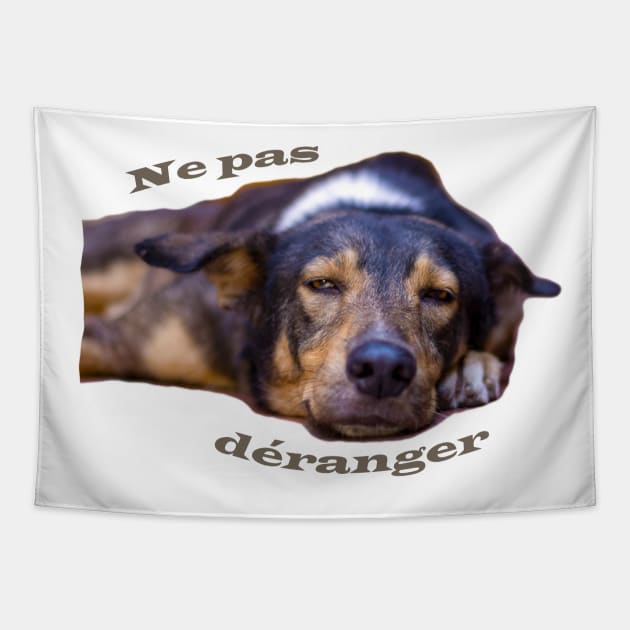 ne pas déranger le chien Tapestry by rickylabellevie