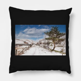 Coquet Valley - Wintertime Pillow