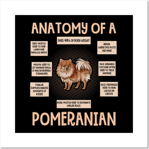 Anatomy Of A Pomeranian - Anatomy Of A Pomeranian - Posters and ...