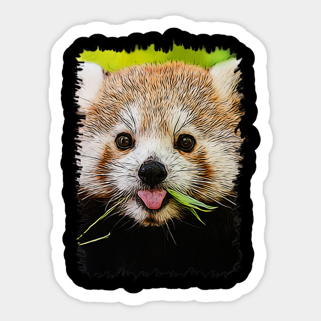 Wallpaper Red Panda 6 Red Panda Cute Sticker Teepublic HD